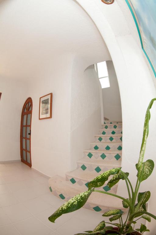 Villas Flamingo Akumal Room photo